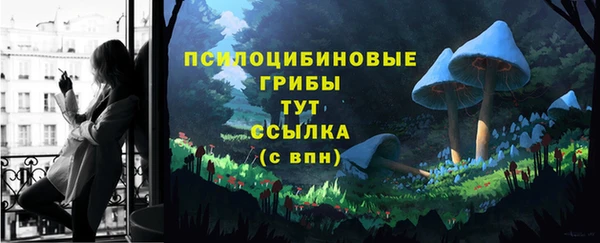 дурь Алексин