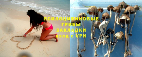 дурь Алексин