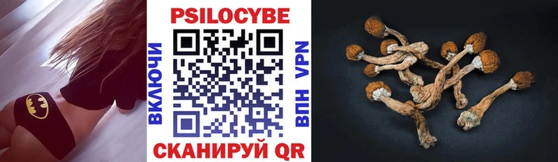 Галлюциногенные грибы Psilocybe  где найти   Шацк 